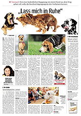 Artikel