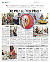 Artikel