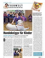 Artikel