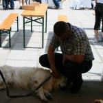 stadtfest_2010_02