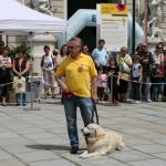 stadtfest_2010_05