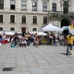 stadtfest_2010_06