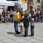 stadtfest_2010_07