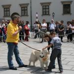stadtfest_2010_08