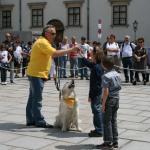 stadtfest_2010_09