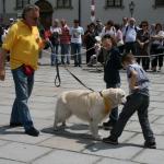 stadtfest_2010_10