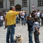 stadtfest_2010_11