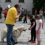 stadtfest_2010_16