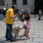 stadtfest_2010_17