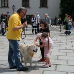 stadtfest_2010_18