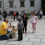 stadtfest_2010_20