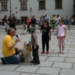 stadtfest_2010_21