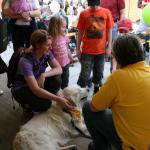 stadtfest_2010_22