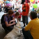 stadtfest_2010_23