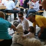 stadtfest_2010_24