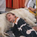stadtfest_2010_32