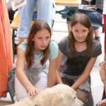 stadtfest_2010_37